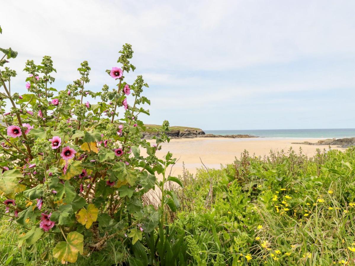 Constantine Bay Cottage แพดสโตว์ ภายนอก รูปภาพ